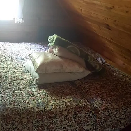 Zveju 12 Palanga